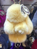 Cute Fluffy Bunny